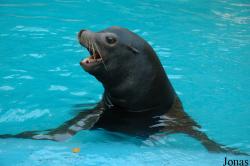Zoo Duisburg