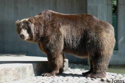 Zoo Duisburg