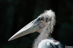 Zoo Duisburg