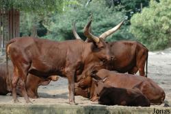 Zoo Duisburg