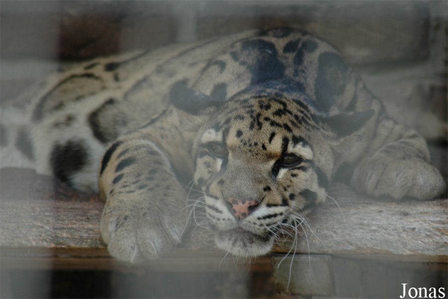 Zoo Duisburg