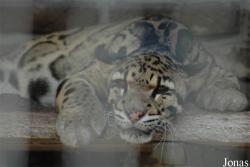 Zoo Duisburg