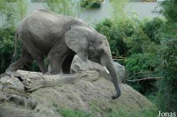 Zoo Duisburg