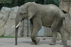 Zoo Duisburg