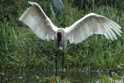 Vogelpark Niendorf
