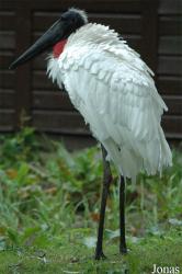 Vogelpark Niendorf