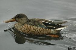 Vogelpark Niendorf