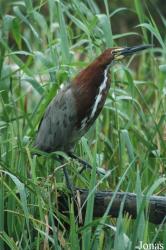 Vogelpark Niendorf