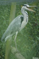 Vogelpark Niendorf