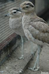 Vogelpark Niendorf