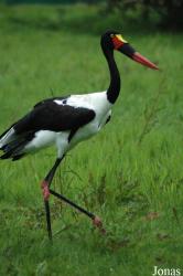 Vogelpark Niendorf