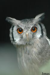 Vogelpark Niendorf