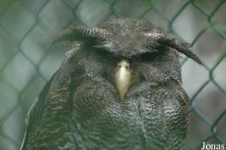 Vogelpark Niendorf
