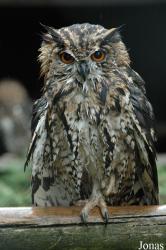 Vogelpark Niendorf