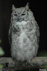 Vogelpark Niendorf