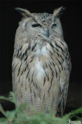 Vogelpark Niendorf