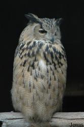 Vogelpark Niendorf
