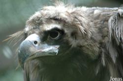 Vogelpark Niendorf