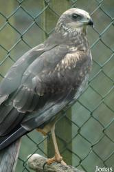 Vogelpark Niendorf