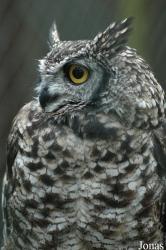 Vogelpark Niendorf