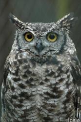 Vogelpark Niendorf