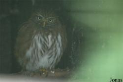 Vogelpark Niendorf
