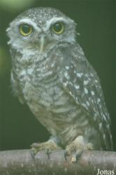 Vogelpark Niendorf