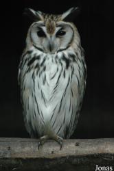 Vogelpark Niendorf