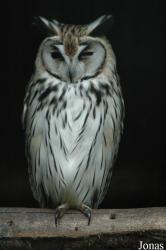 Vogelpark Niendorf
