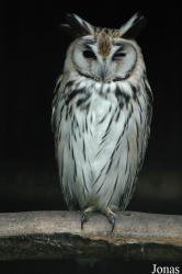 Vogelpark Niendorf