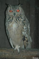 Vogelpark Niendorf