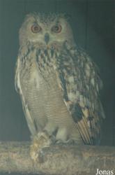 Vogelpark Niendorf