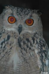 Vogelpark Niendorf