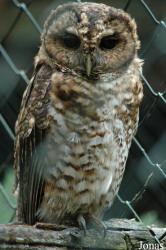 Vogelpark Niendorf