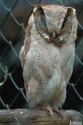 Vogelpark Niendorf