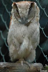 Vogelpark Niendorf