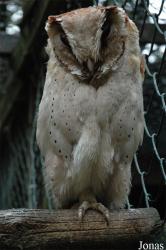 Vogelpark Niendorf