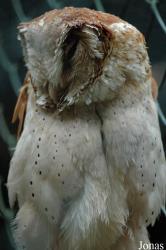 Vogelpark Niendorf