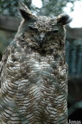 Vogelpark Niendorf