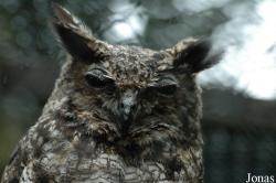 Vogelpark Niendorf
