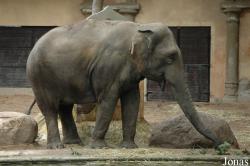 Tierpark Hagenbeck