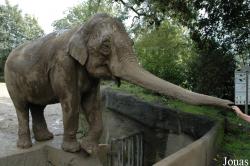 Tierpark Hagenbeck