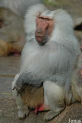 Tierpark Hagenbeck
