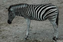 Tierpark Hagenbeck