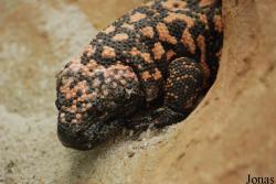 Vivarium Darmstadt