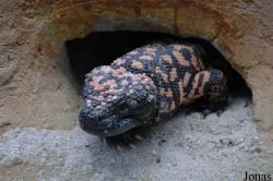 Vivarium Darmstadt