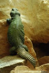 Vivarium Darmstadt
