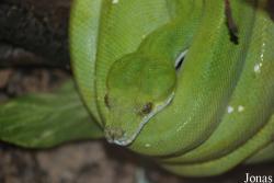Vivarium Darmstadt