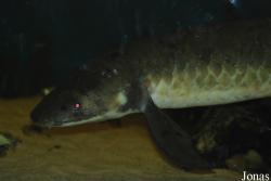 Vivarium Darmstadt