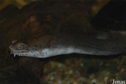 Vivarium Darmstadt